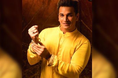 Prince Narula Wiki 1