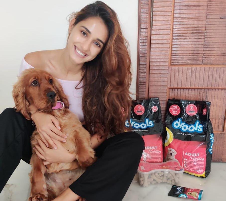 Disha Patni with her pet dog goku