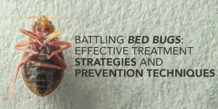 Battling Bed Bugs: Effective Treatment Strategies and Prevention Techniques