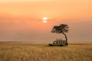 FROM SERENGETI SUNSETS TO CRATER FLOOR: YOUR 2026 TANZANIAN ODYSSEY