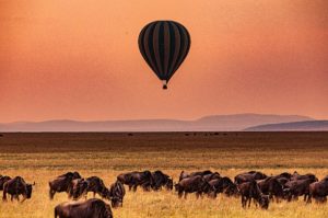 FROM SERENGETI SUNSETS TO CRATER FLOOR: YOUR 2026 TANZANIAN ODYSSEY