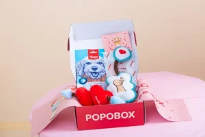 Blind Boxes Make Perfect Gifts | Top 7 Reasons